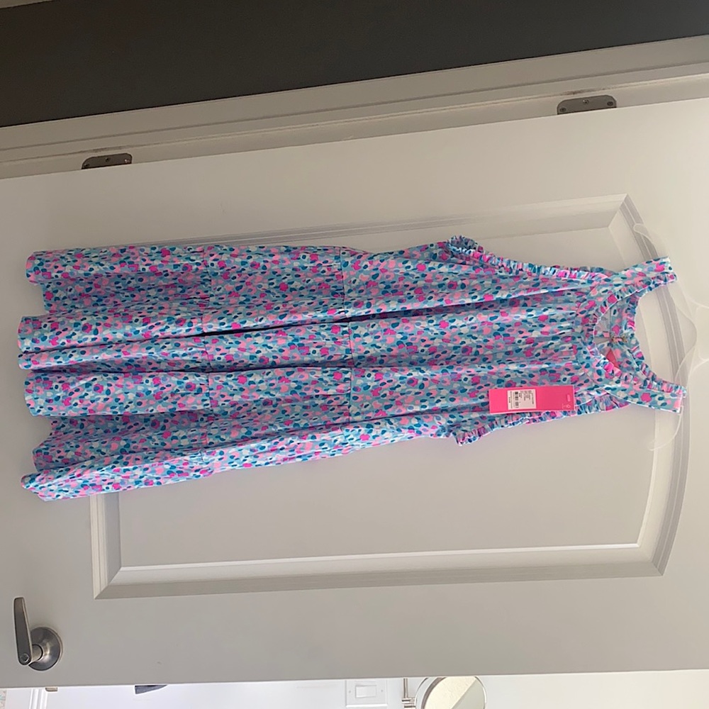 Lilly Pulitzer Jerrica dress